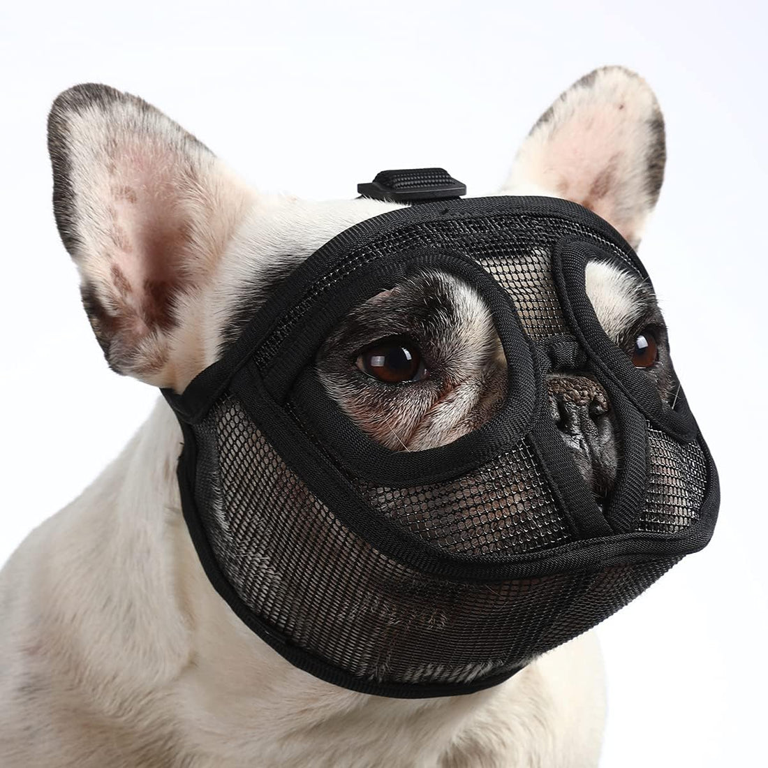 BARKLESS Short Snout Muzzle for French Bulldog, Shih Tzu