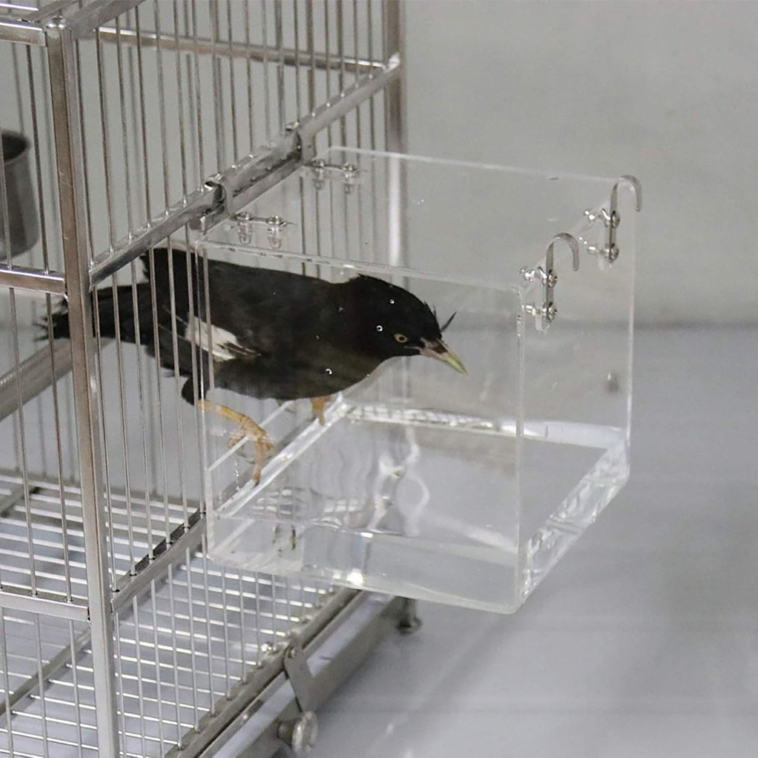 Bird Bath Cage, Cleaning Pet Supplies Cockatiel Bird Bathtub