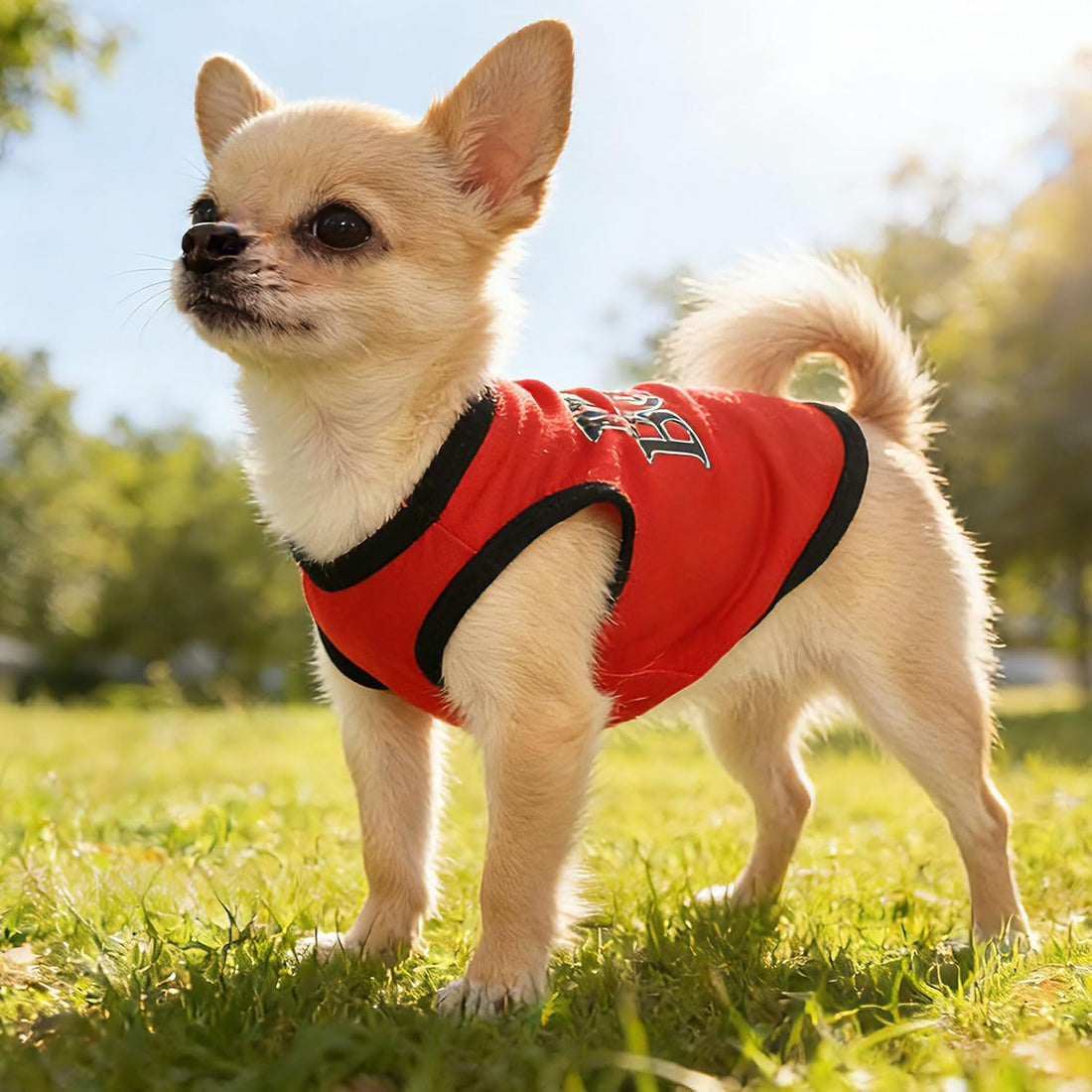 4 Pieces Dog Clothes for Small Dogs Boy Dog Shirt Puppy Clothes