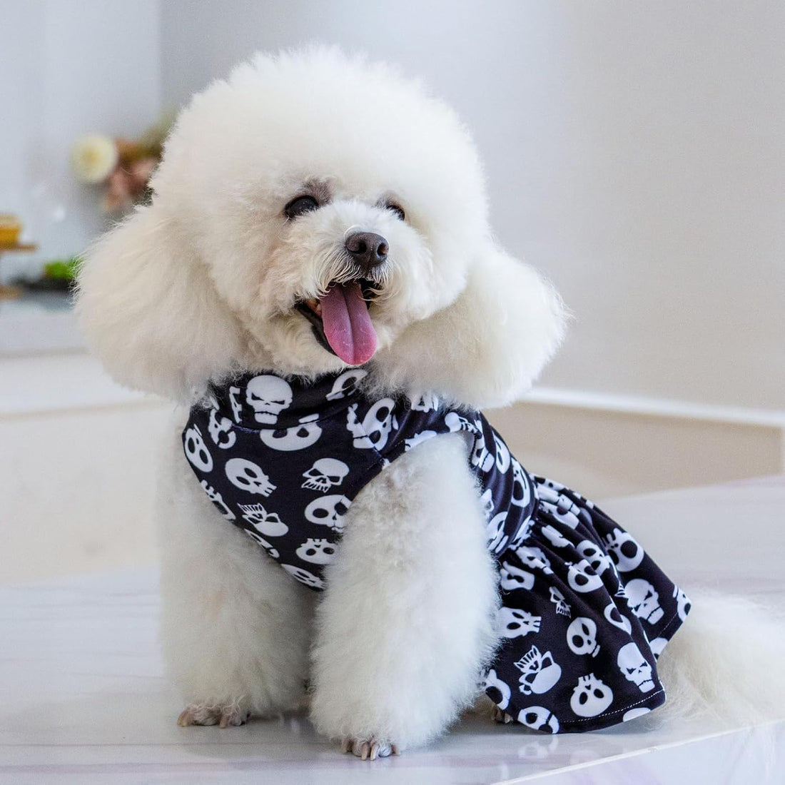 CuteBone Turtleneck Dog Velvet Dress Halloween Puppy Skirt Costume