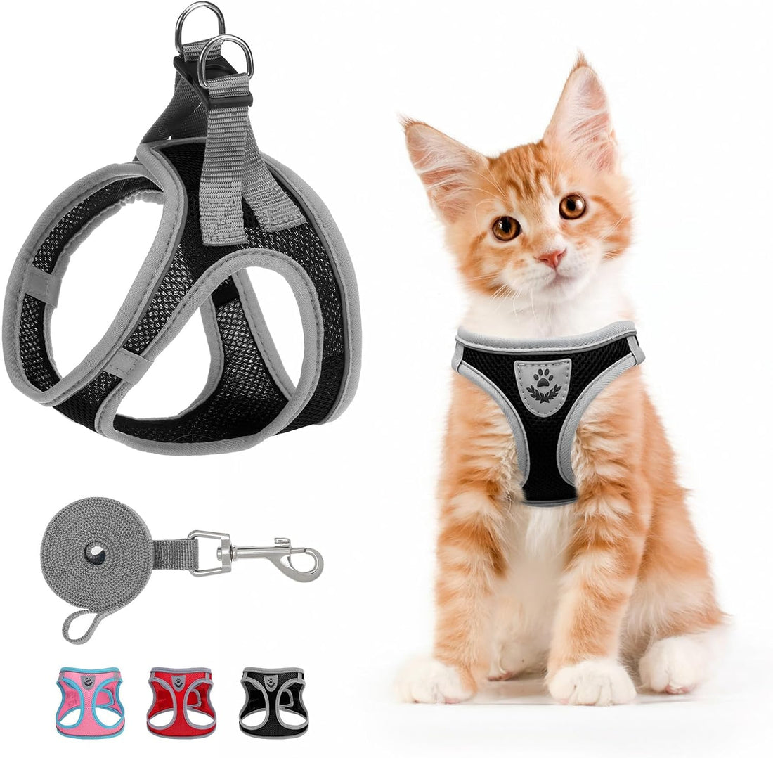 SCENEREAL Cat Harness & Leash Set Escape Proof
