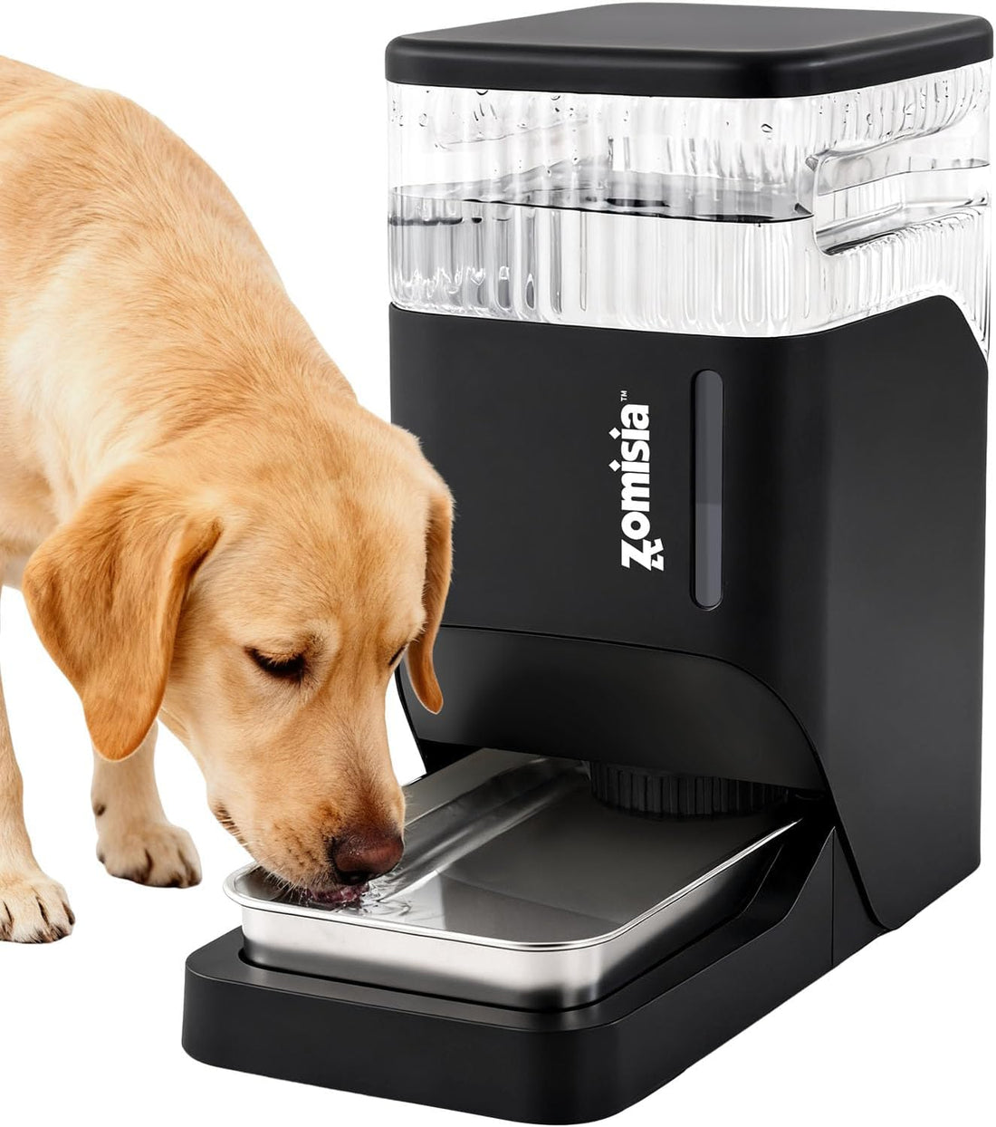 ZOMISIA 2.1 Gallon Gravity Dog Water Dispenser with Stainless Steel