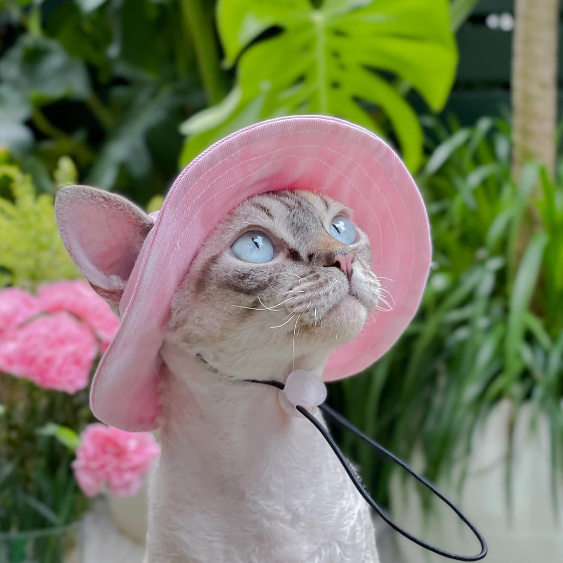 Pet hat with Ear Holes Sunscreen Baseball Cap Suitable for Small