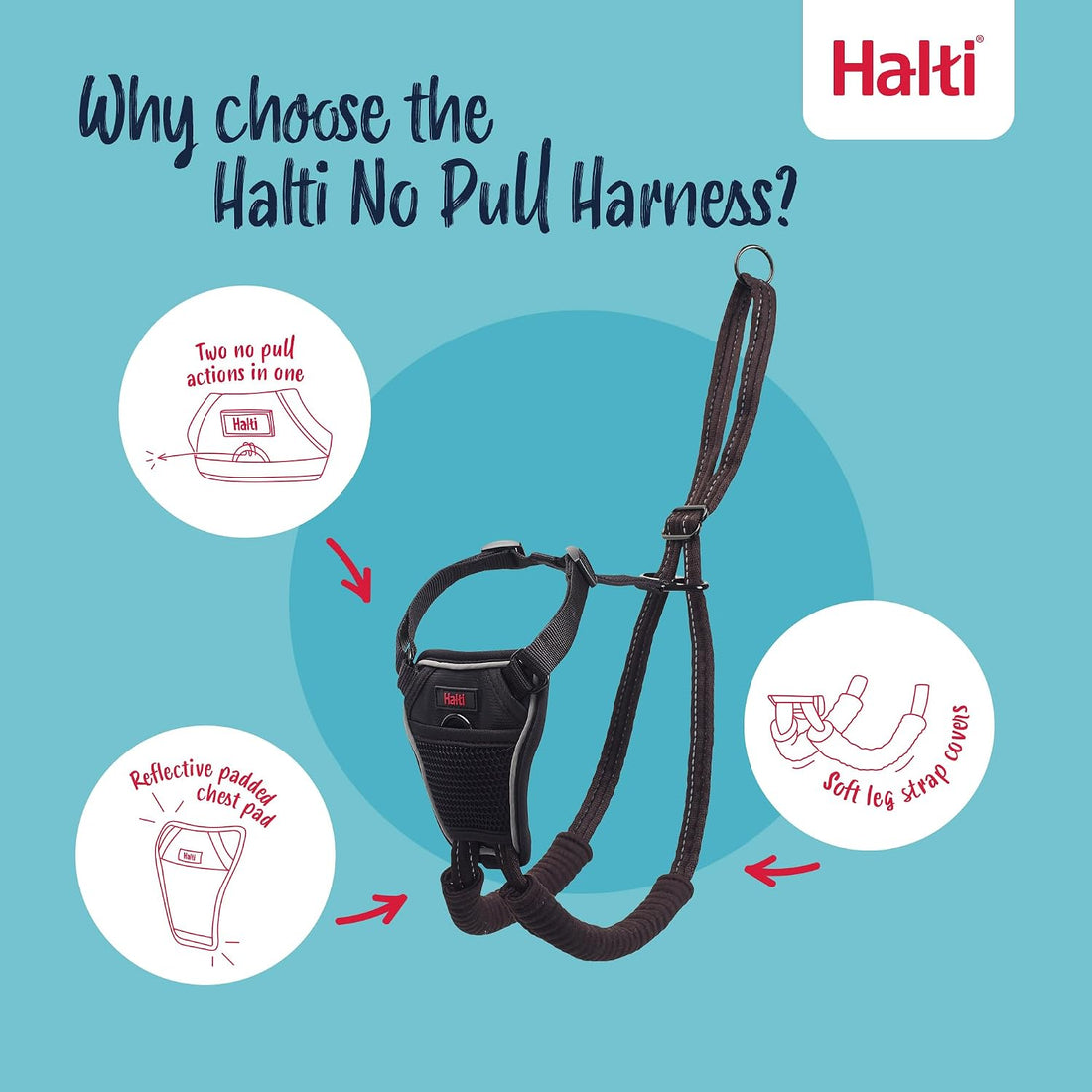Halti No Pull Harness (Size M) & Training Leash (Size L, Black) Bundle