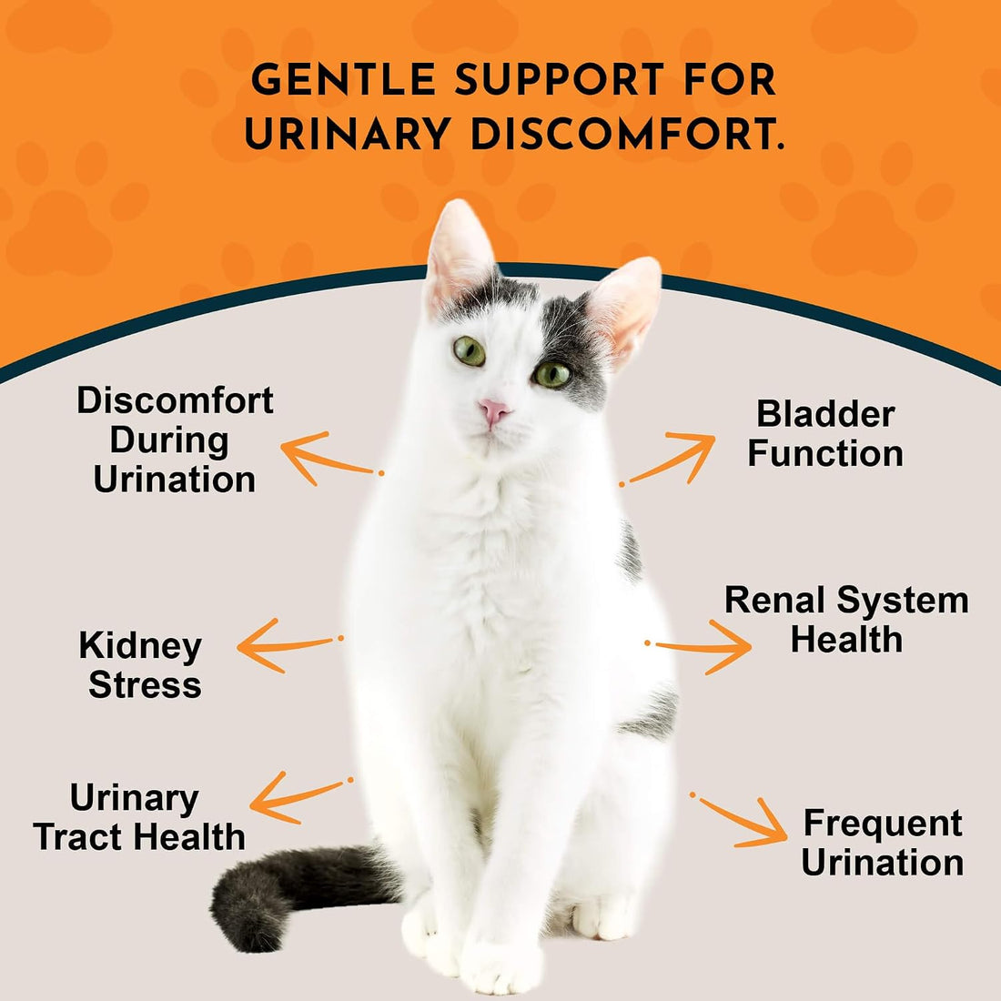Animal Essentials Tinkle Tonic - Dog & Cat Urinary Tract Support