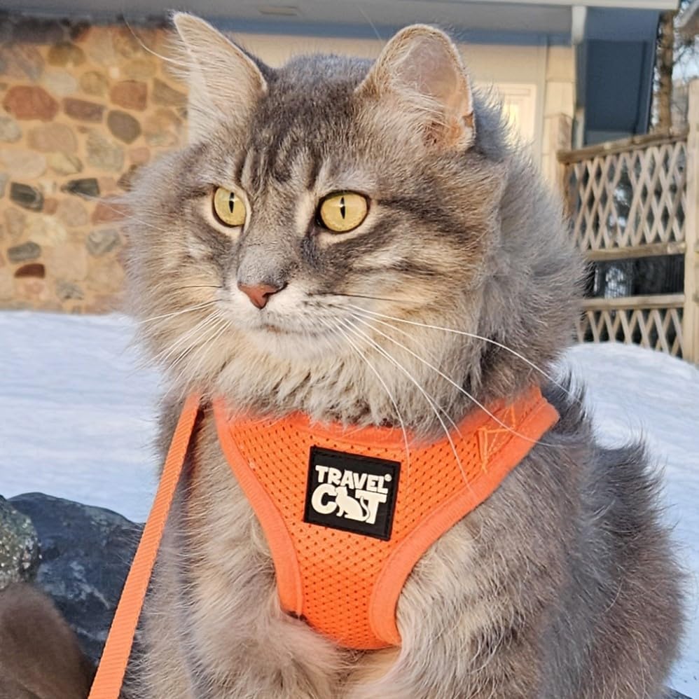 Travel Cat Harness and Leash Set