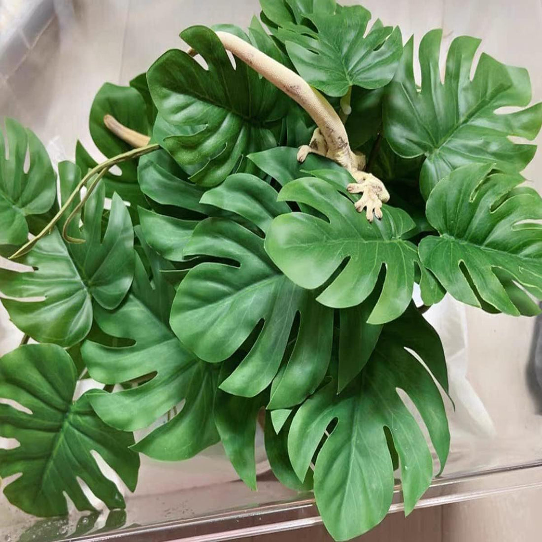 Fake Reptile Plants for Terrarium ,Tank Decor,Artificial Plant