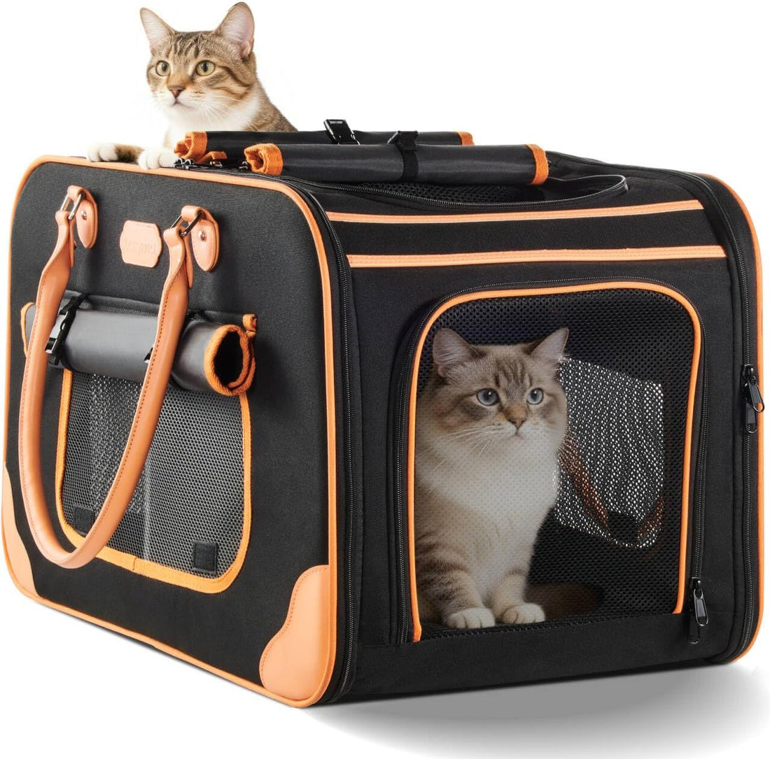 Extra Large Cat Carrier for 2 Cats