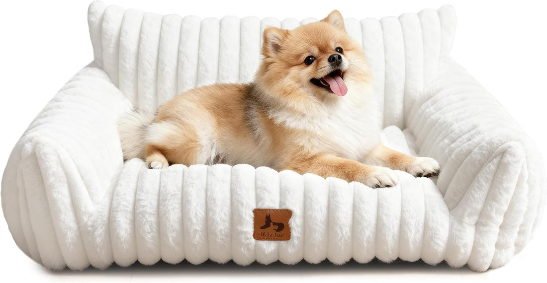 Cat Couch for Pets, Cute Cat Bed for Indoor Cats