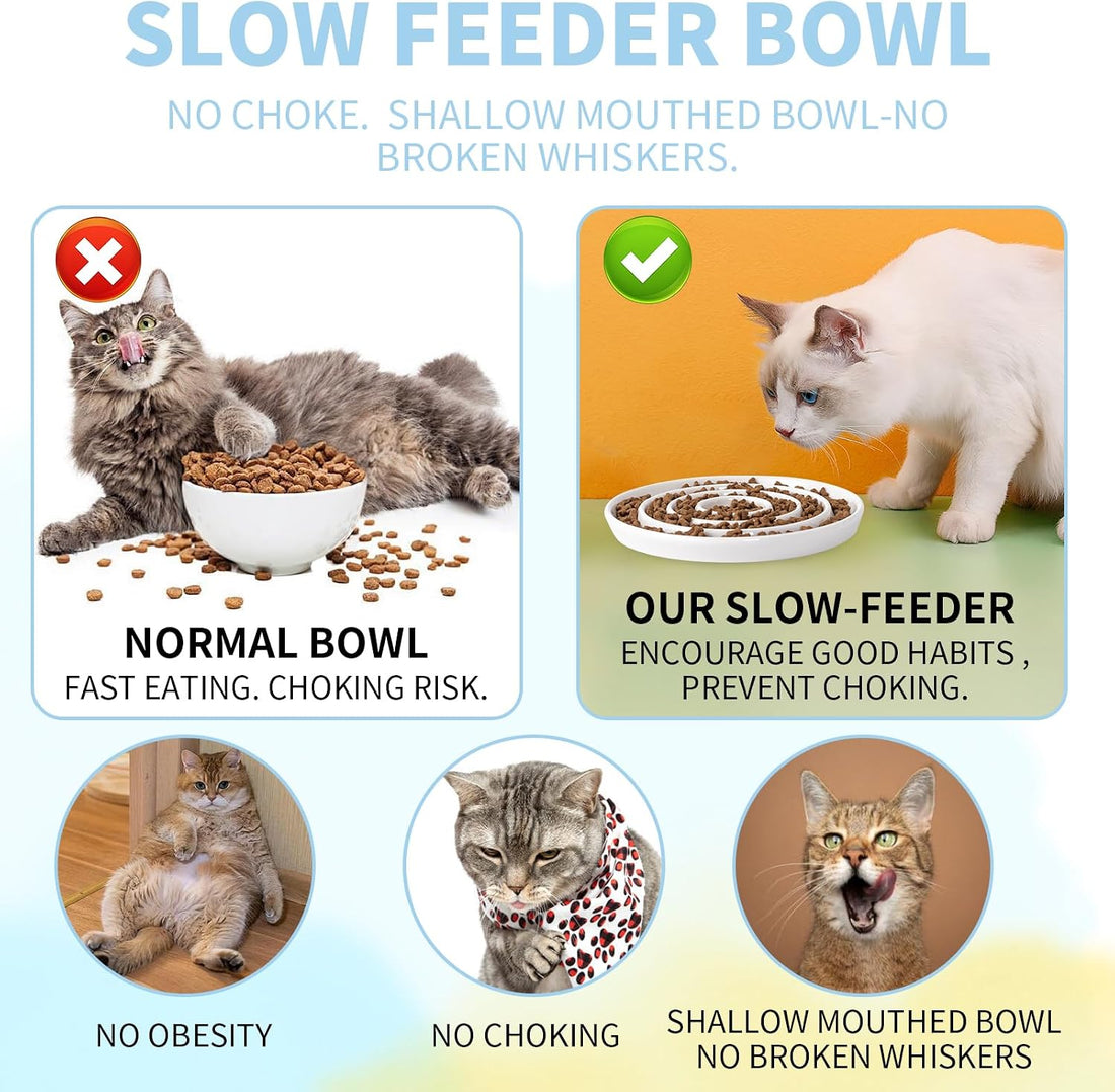 Ceramic Cat Slow Feeder,Shallow and Wide Opening Dish for Whisker