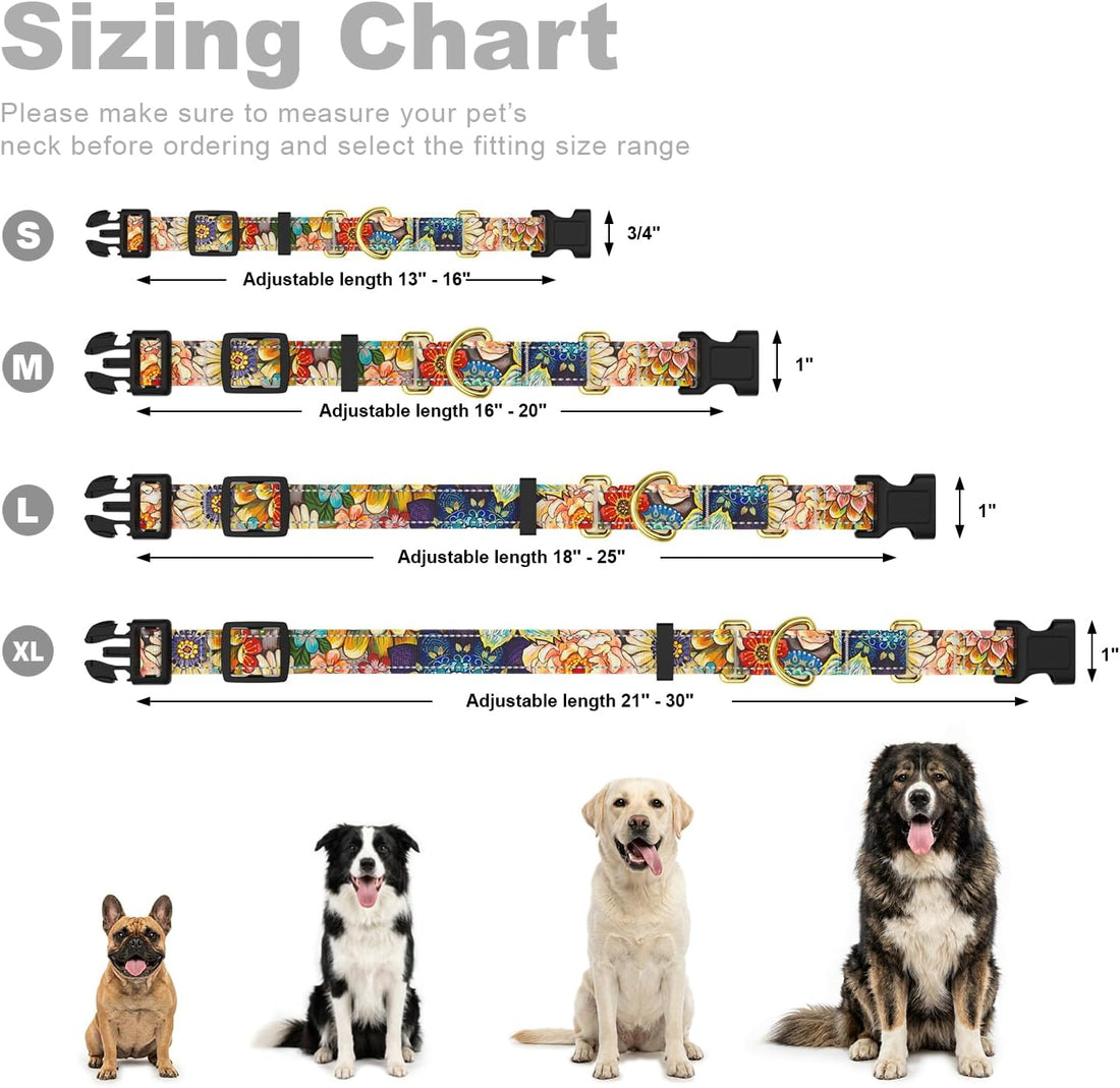 Martingale Dog Collar for Small Dogs, Reflective Puppy Collars