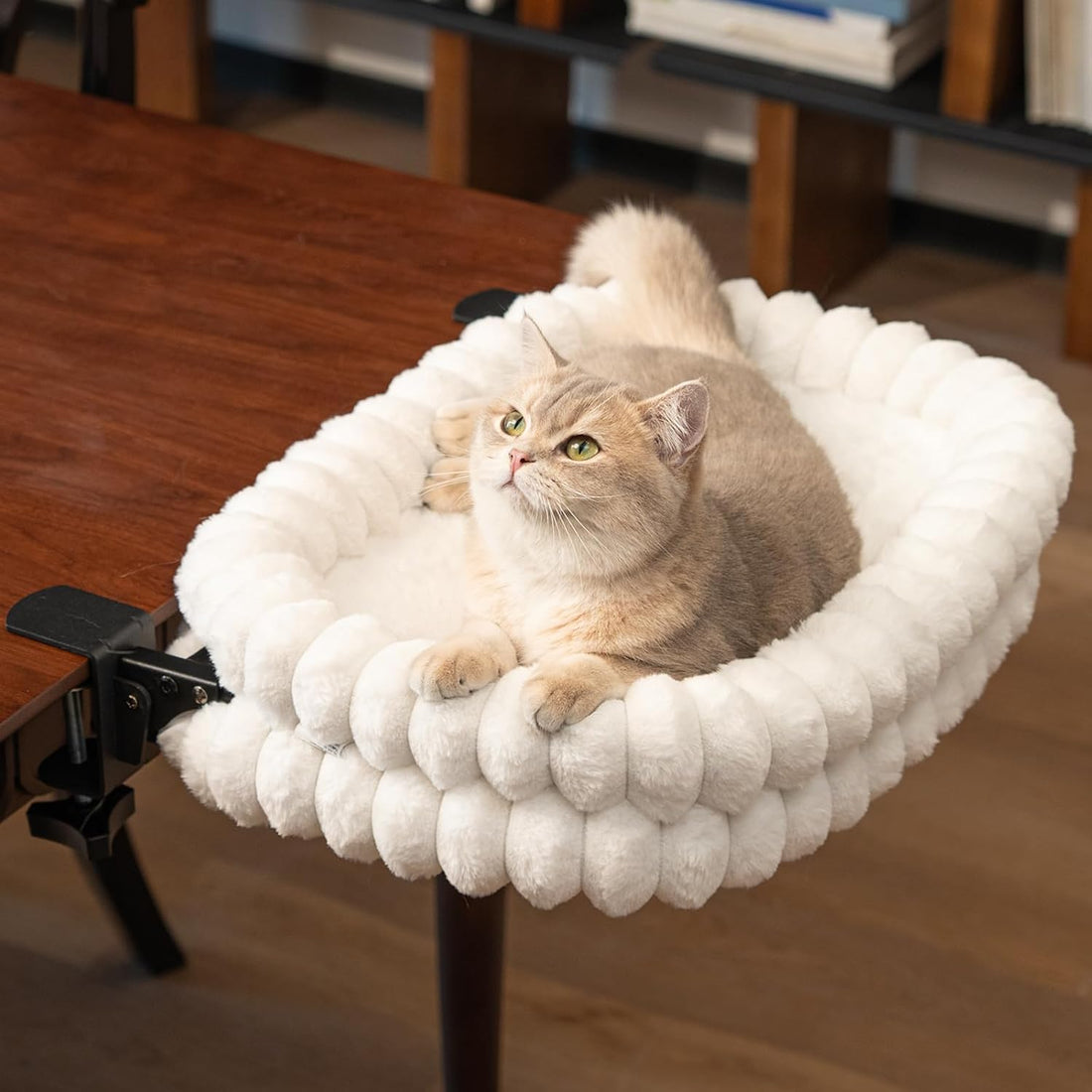 CHEERPALS Cloud Cat Bed Desk Mounted Hammock for Indoor Cats Perch