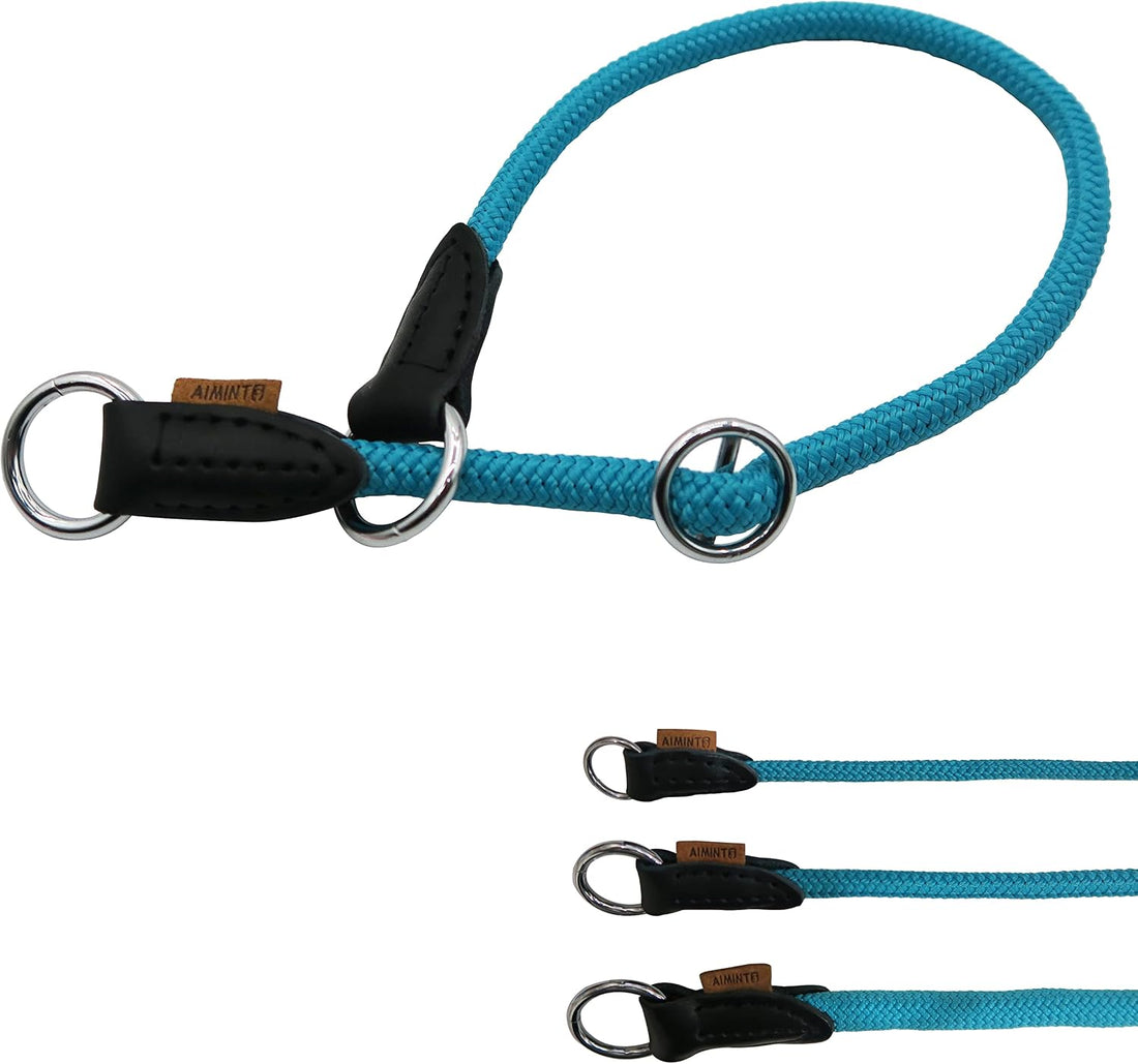 Braided Round Martingale Dog Collar