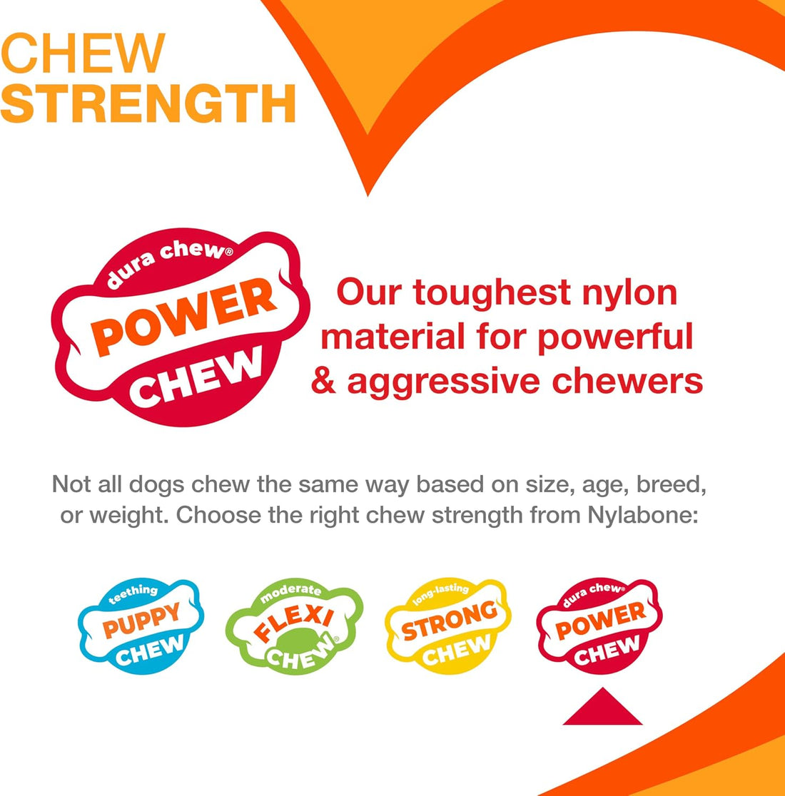 Nylabone Textured Bone Power Chew Toy for Dogs