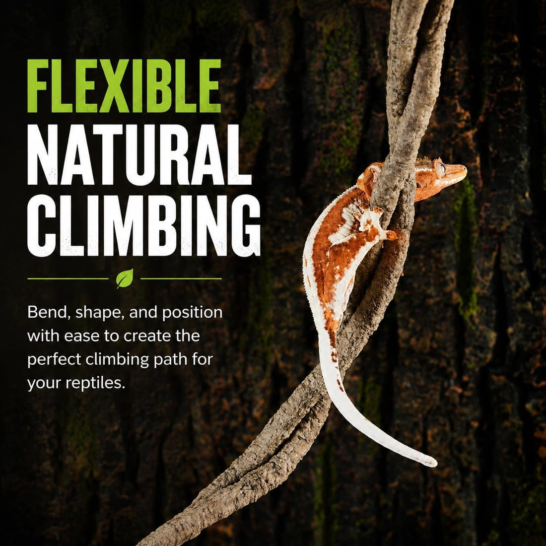 8-Foot Reptile Vines, Flexible Jungle Climber Habitat Decor