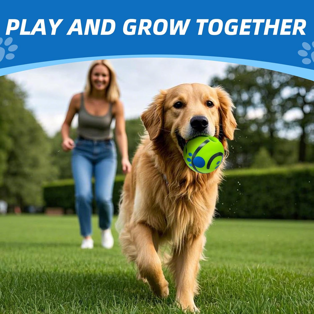 Dog Toys Ball, Interactive, M, 3.46 in (8.8 cm)