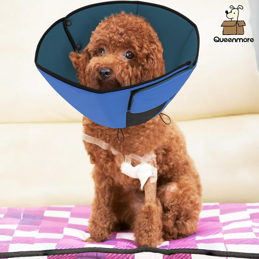 Queenmore Dog Cones for Small Dogs, Soft Dog Cone After Surgery