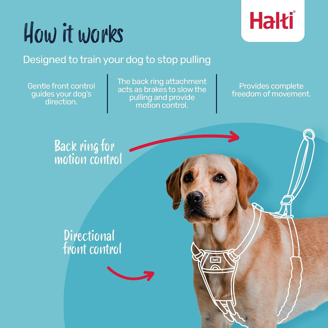 Halti No Pull Harness (Size M) & Training Leash (Size L, Black) Bundle