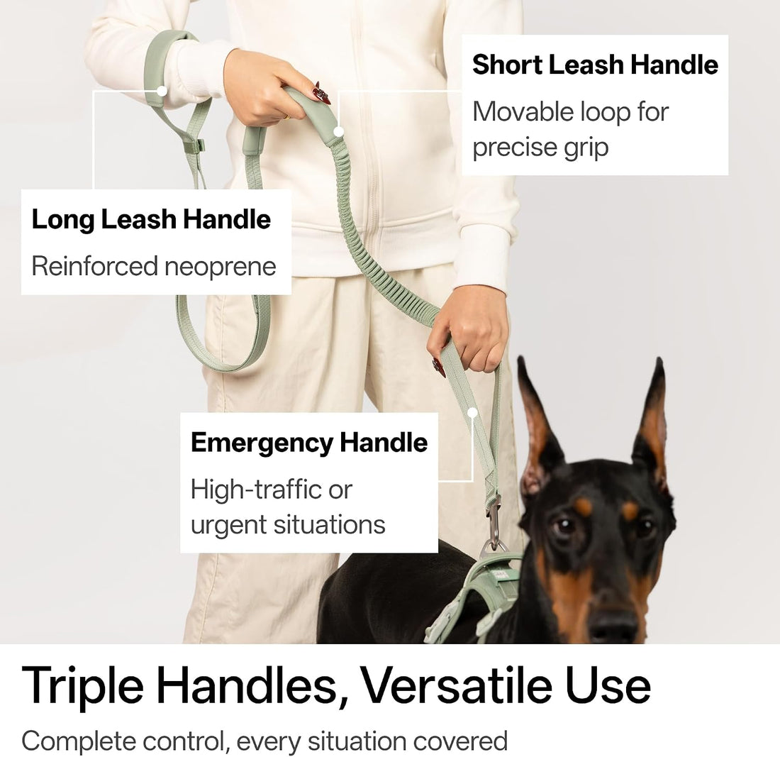 Hands Free Dog Leash Adjustable Versatile Crossbody Waist, Black
