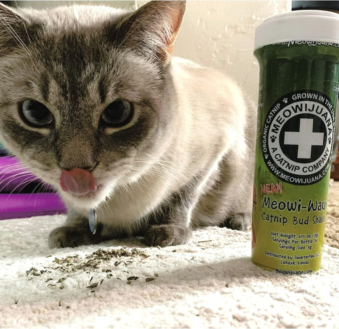 Meowijuana | Catnip Bundles | Organic | High Potency Cat Treats