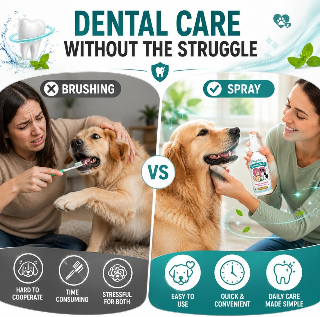 Milolabco Probiotic Dental Spray, Dentaclean Spray for Dogs