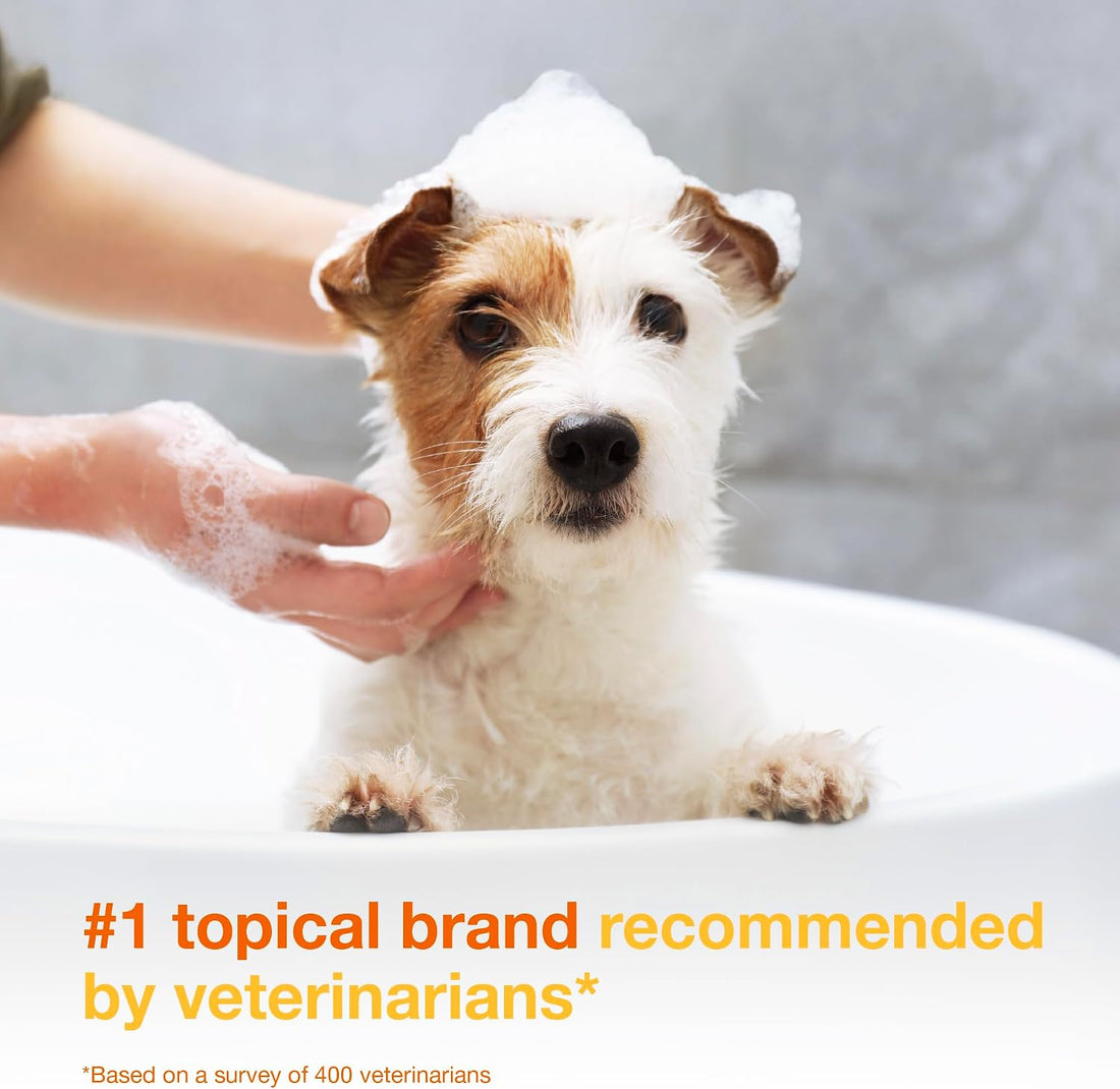 Douxo S3 PYO Chlorhexidine Shampoo & Mousse for Dogs