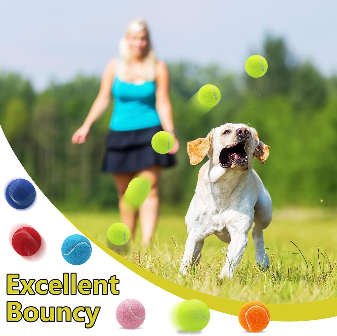 Swingers Squeaky Tennis Balls for Dogs,2.5 inch Training Tennis