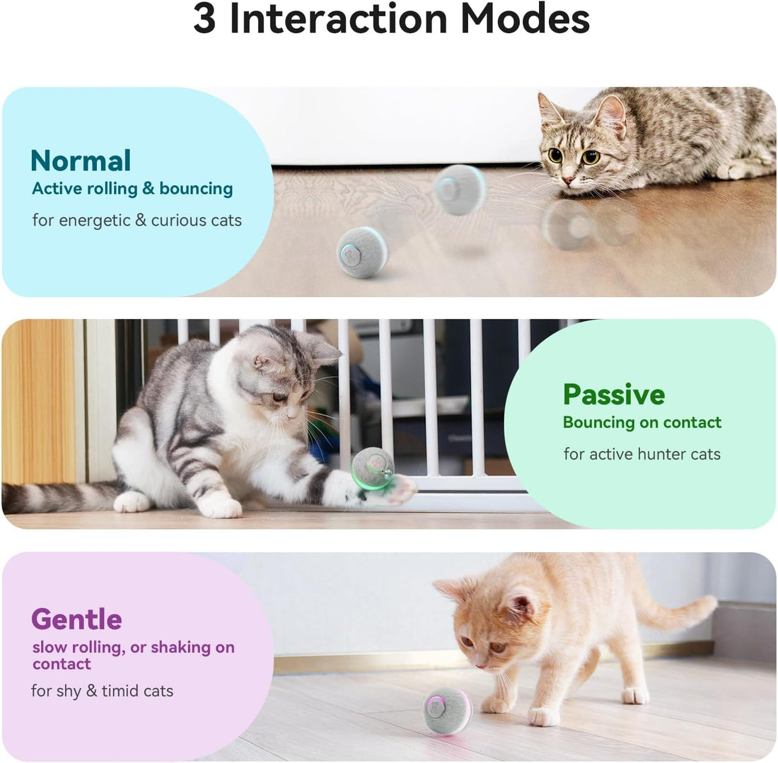 Cheerble Interactive Cat Ball Toy