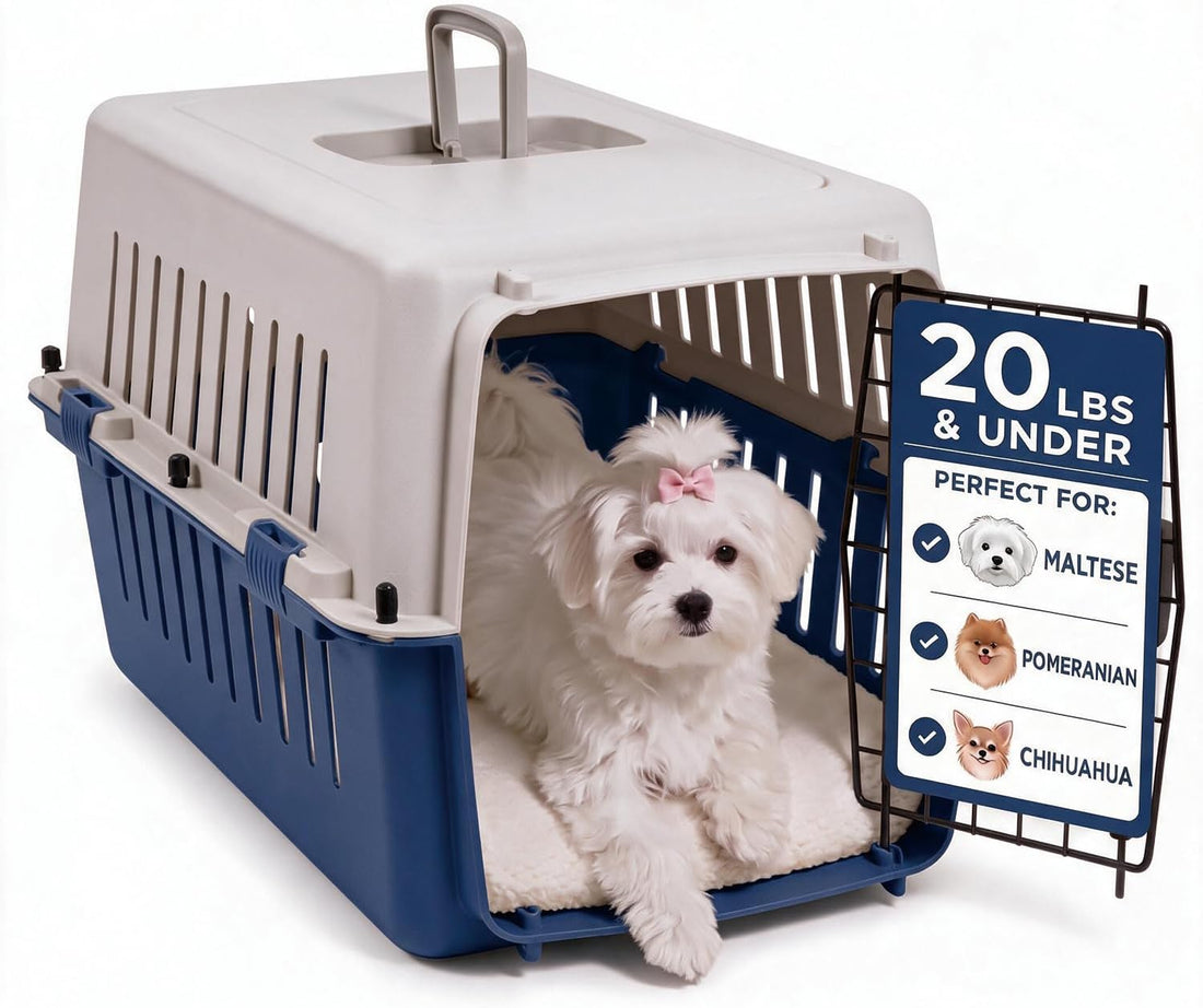 20-Inch Pink Hard Shell Pet Carrier for Small Dogs & Cats Under 15 Lbs