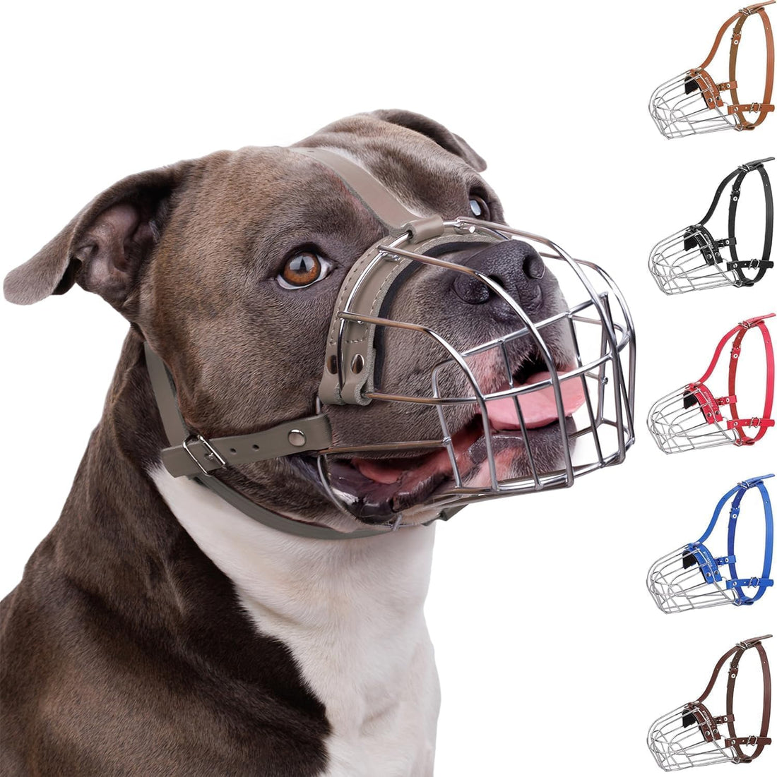 BRONZEDOG Pitbull Wire Basket Muzzle for Amstaff, Large Dogs (Steel)