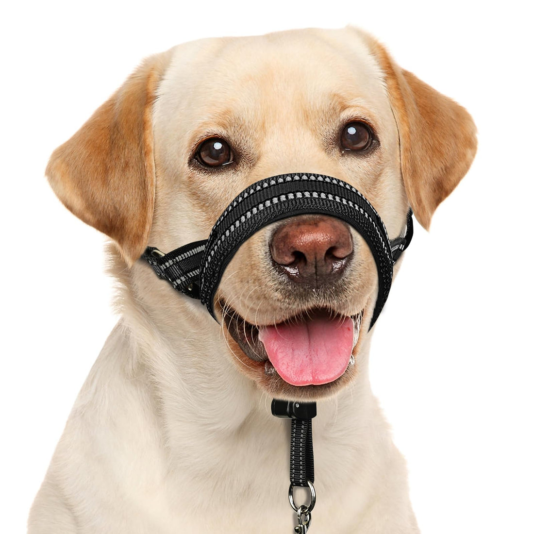 BARKLESS Soft Dog Head Collar, Patented Padded No Pull Head Halter
