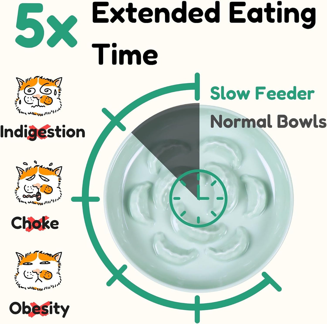 Slow Feeder Bowl for Cats and Small Dogs