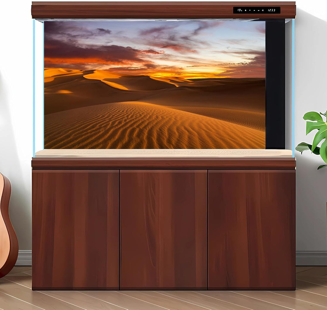 Sunset Desert Reptile Habitat Background Arid Landscape of The Sahara