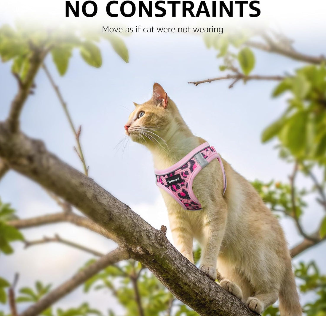 SCENEREAL Cat Harness & Leash Set Escape Proof