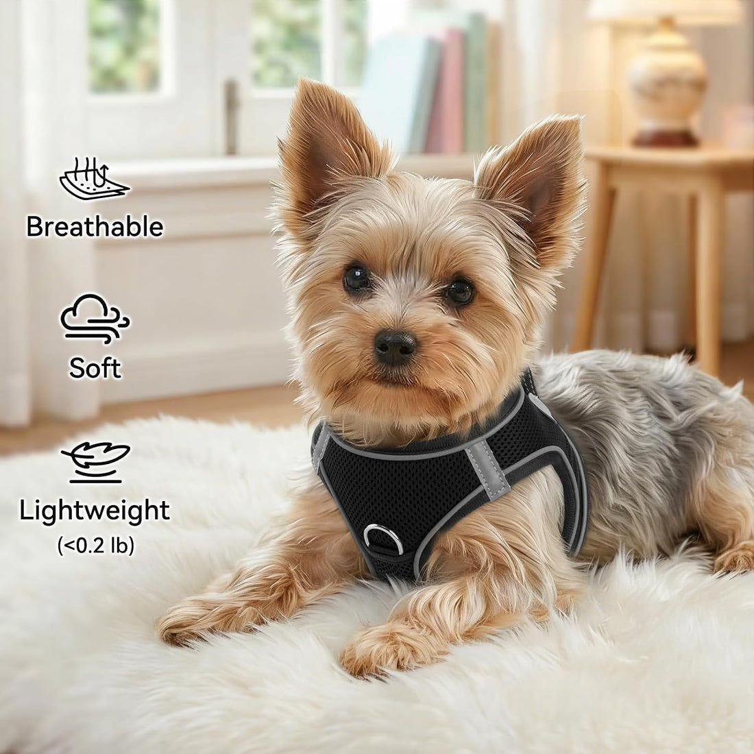 Joytale Step-in Dog Harness, Soft Breathable Mesh, Black M