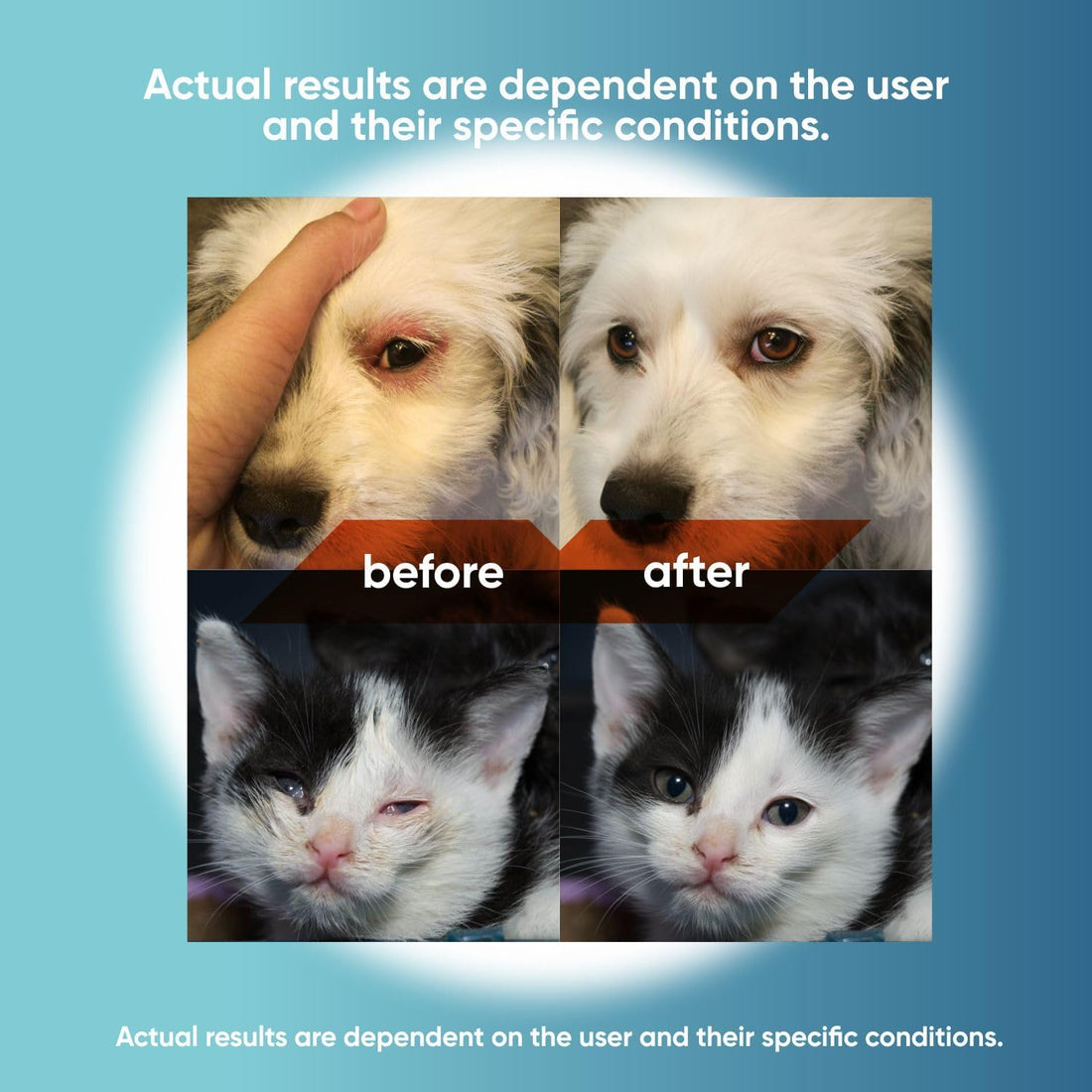 dog eye drops and cat eye drops , pet eye drop