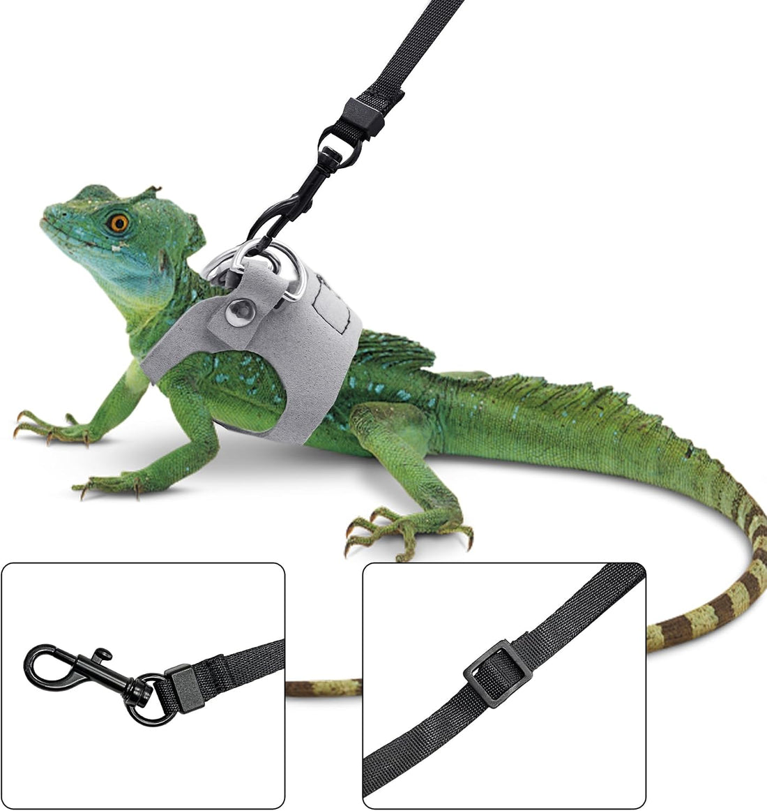 3PCS Bearded Dragon Harness and Leash Set