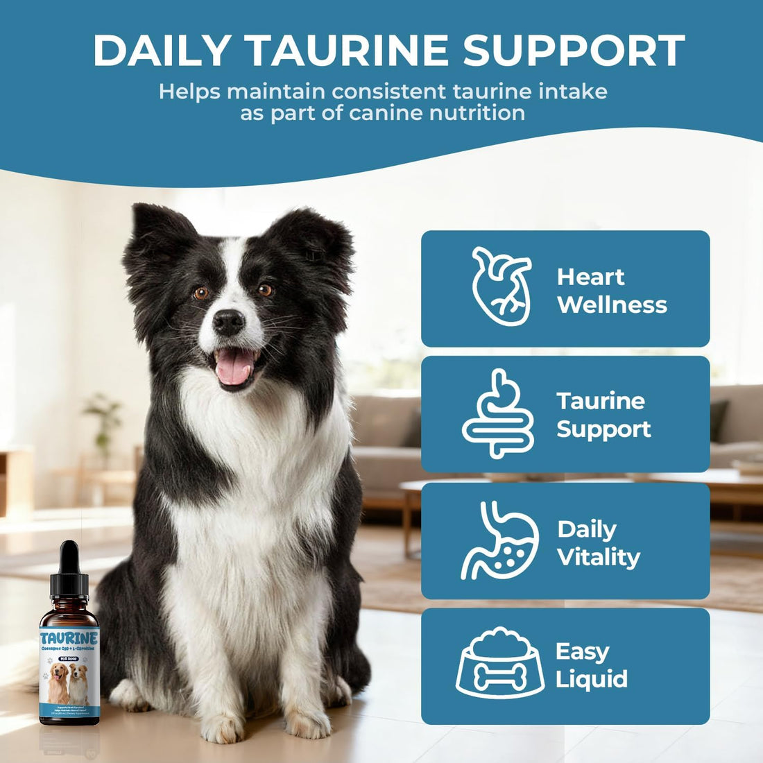 Taurine Supplement for Dogs Liquid Drops, Coenzyme Q10 & L-Carnitine