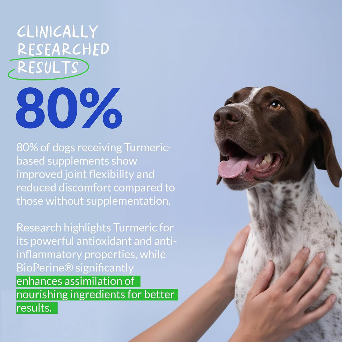 Turmeric for Dogs Anti Inflammatory Pain Relief - 120 Chewable Tablets