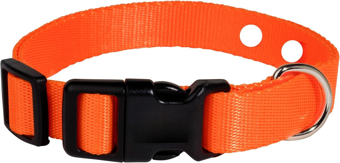 3/4" Orange Replacement Collar Strap