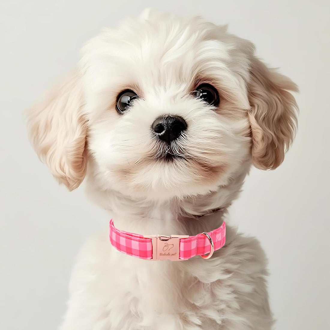 Pink Checkerboard Dog Collar, Classic Girly Plaid Dog Collars
