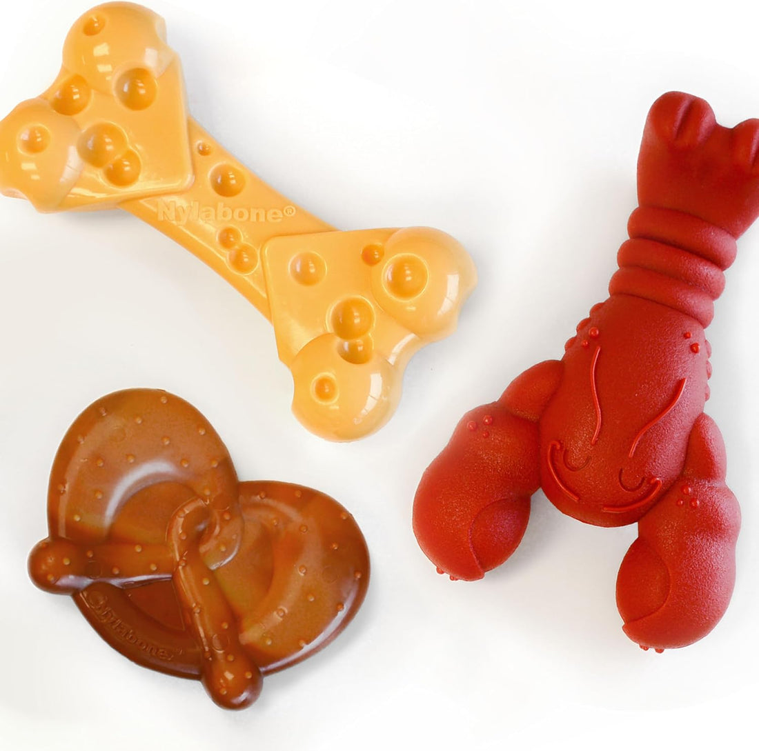 Nylabone Power Chew Toy Bundle, Dog Toys for Aggressive Chewers