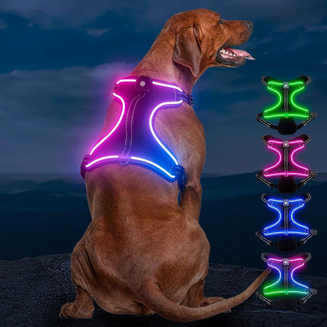 Light Up Dog Harness, LED Rechargeable Safety Dog Harness for Night