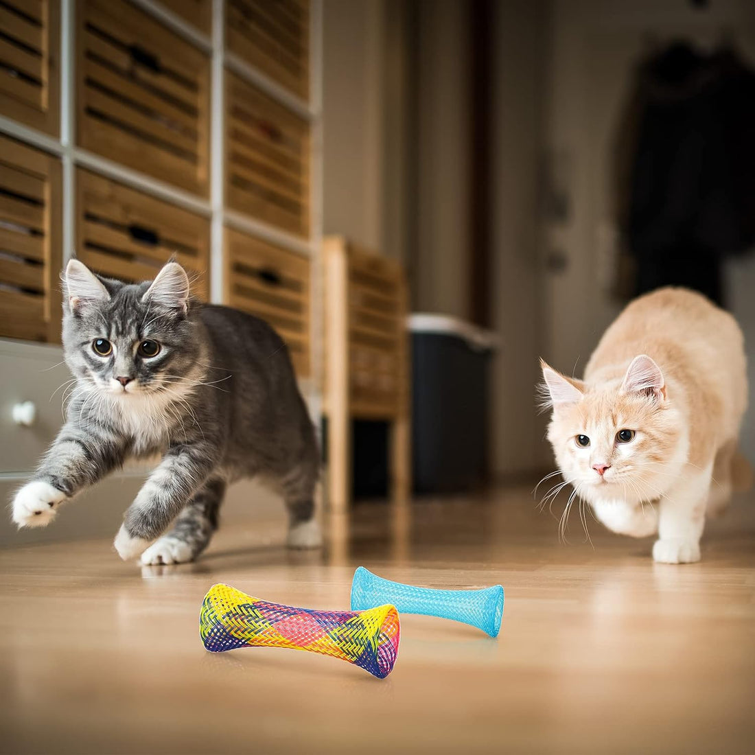 Leitee 60 Pcs Cat Spring Toys Kitten Tubes Indoor Interactive Chinese