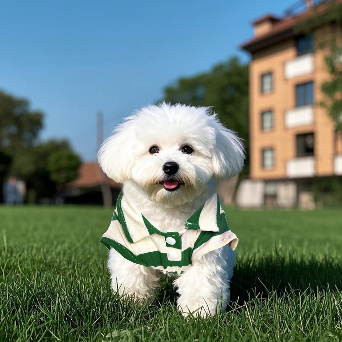 Pistha Dog Shirt Polo Shirt Striped Puppy Clothes for Boy Girl Pets