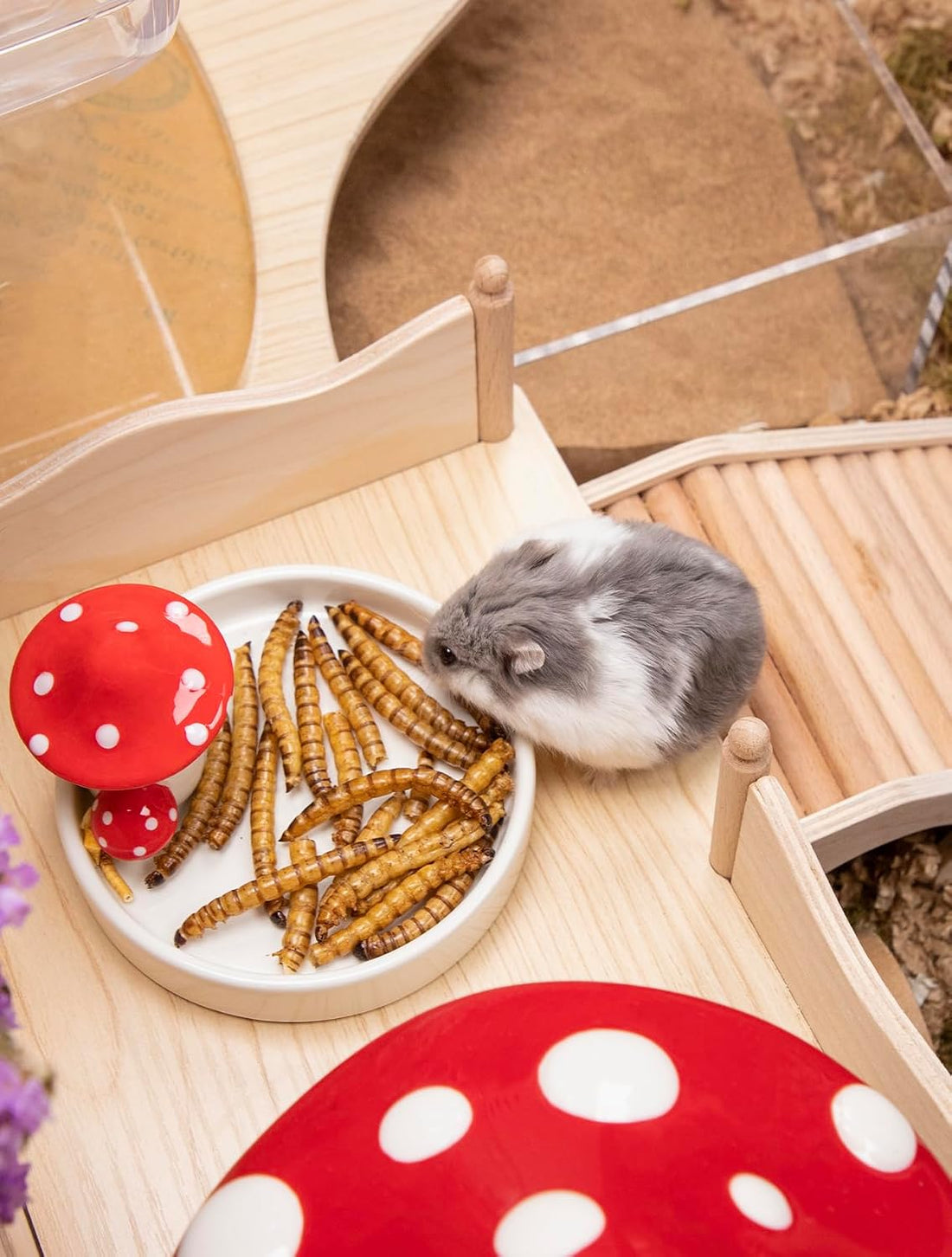 Niteangel Small Animal Snack & Treats - Dried Worms & No Additive