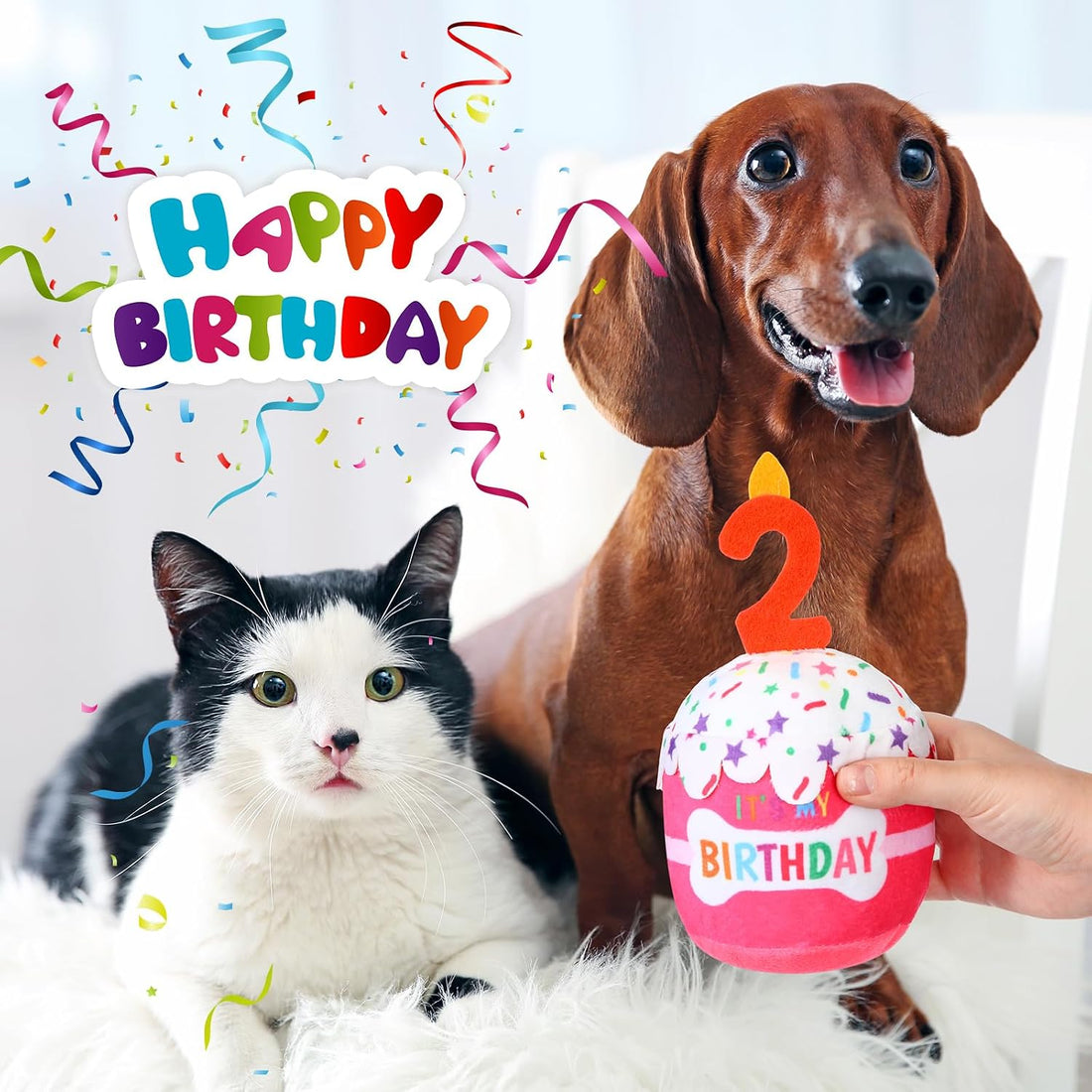 Dansydaisy Dog Birthday Cake Toy Squeaky Plush Gift