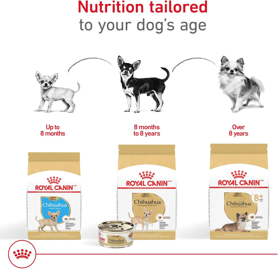 Royal Canin Breed Health Nutrition Chihuahua Adult Loaf in Sauce Dog
