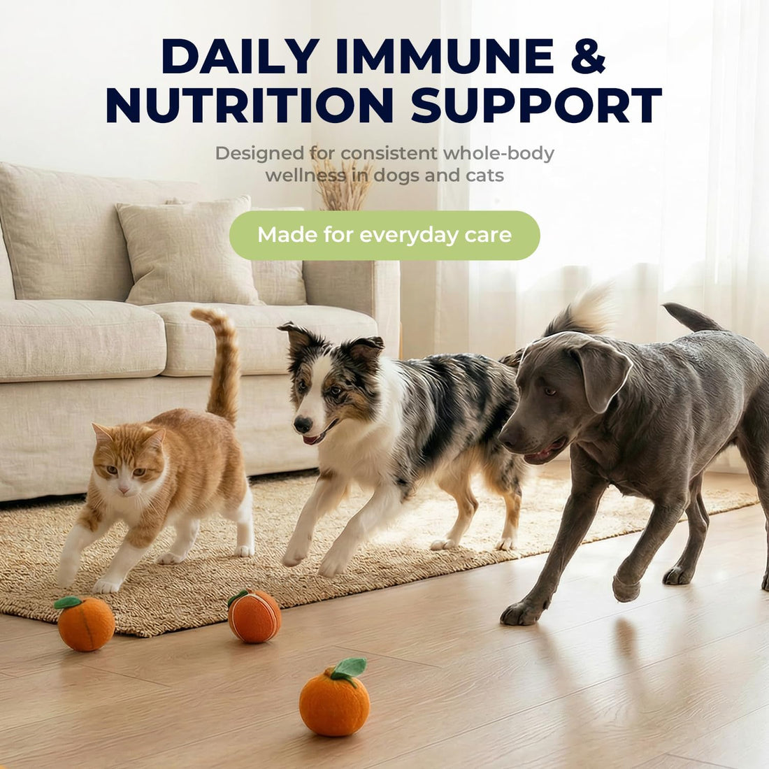 Lactoferrin Liquid Supplement for Dogs & Cats, Daily Immune Support