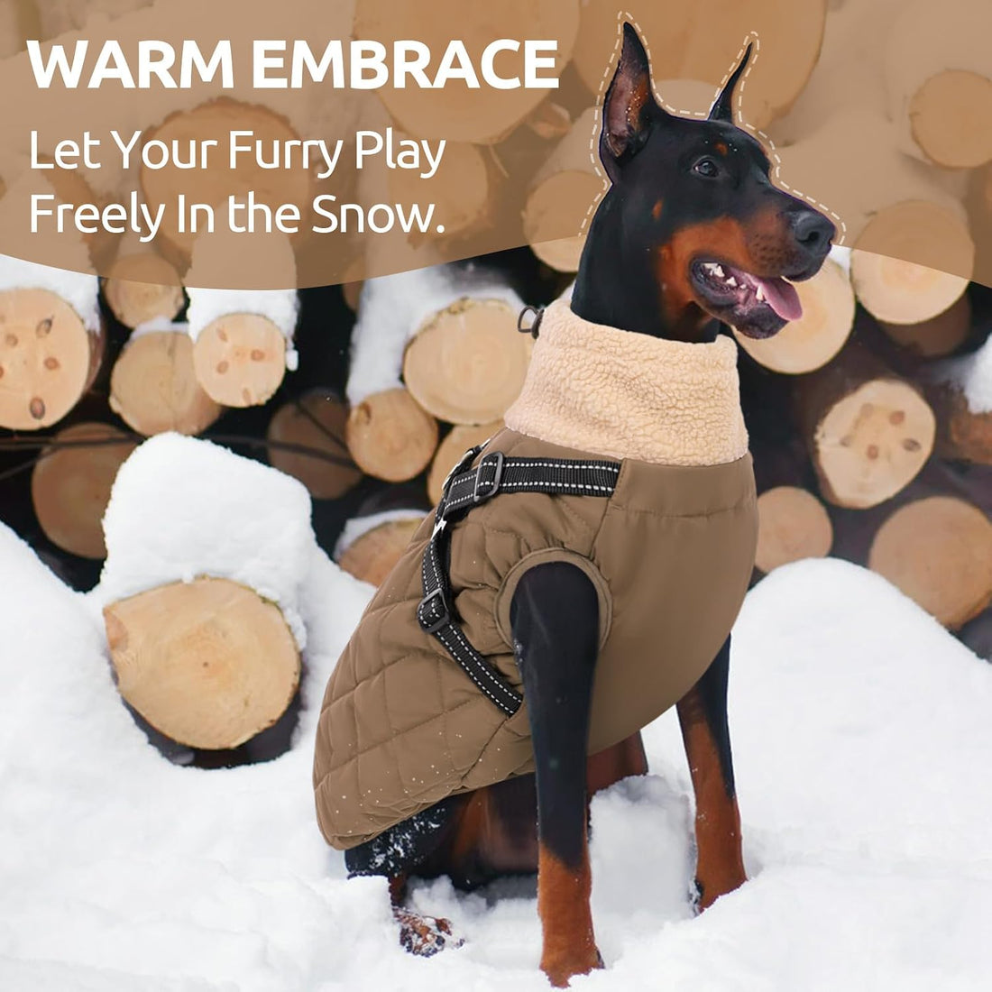 Queenmore Dog Jackets for Medium Dogs, Dog Coat with Harness Built in